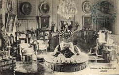 VINTAGE POSTCARD Castle of the Sevigne Rocks the Living room