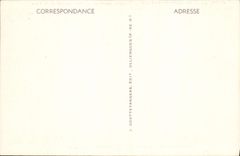 Fuente petrifying de Clermont-Ferrand de la POSTAL de la VENDIMIA del puente natural del cerdo del St Alyre