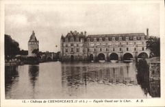 Ataque frontal de Castle De Chenonceaux Western de la POSTAL de la VENDIMIA en costoso