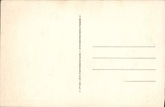 VINTAGE POSTCARD Trouville Queen Of the Beaches Panorama of the castle towards the beach