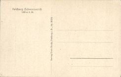 CPA Feldberg Schwarzwald