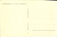 POSTAL Estrasburgo de la VENDIMIA el baño en Palntes