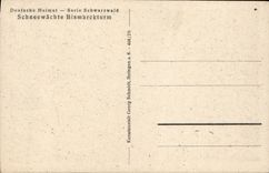 VINTAGE POSTCARD Schneewachte Bismarckturm