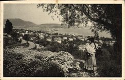 La POSTAL de la VENDIMIA Niza entra en las flores y los aceituna-árboles