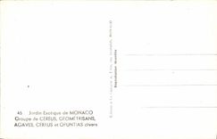 MODERN CARD Exotic Jardin Of Monaco Groups of Cereus Geometrisans Agaves Cereus and Opuntias various