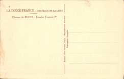 CPA Chateau De Blois Escalier Francois 1er