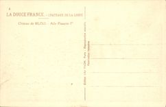 CPA Chateau De Blois Aile Francois 1er