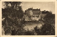 Castillo de la POSTAL de la VENDIMIA de la opinión de Amboise tomado de los bordes del Loire