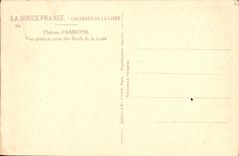 Castillo de la POSTAL de la VENDIMIA de la opinión de Amboise tomado de los bordes del Loire