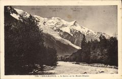 CPA Chamonix L'Arve Et Le Mont Blanc