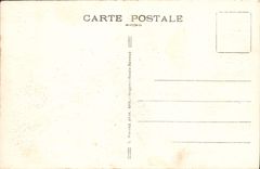 CPA Chamonix L'Arve Et Le Mont Blanc