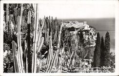 VINTAGE POSTCARD Monaco Exotic Gardens Sight on the rock