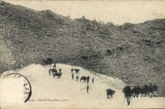 VINTAGE POSTCARD Collar De Chavieres Ass Mule Militaria Alpine hunters