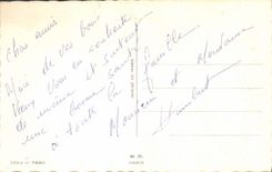 CPA Fantaisie Fleurs Rose Bonne Annee