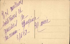 VINTAGE POSTCARD Paris Trocadero Horse