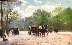 CPA Paris Bois De Boulogne Chevaux 