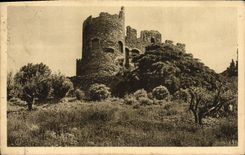VINTAGE POSTCARD Surroundings Of Lavandou Bormes the Mimosa the Old Castle