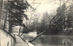 VINTAGE POSTCARD Paris Bois de Boulogne in Winter edges of the lake