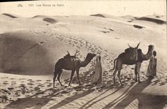 VINTAGE POSTCARD sand dunes Camel