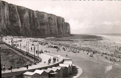 CPM Le Treport La Digue Promenade
