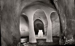 CPM Chamonix Le Montenvers Ait La Grotte De La Mer De Glace L'ours gardin de la grotte