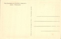 VINTAGE POSTCARD Zoological gardens De Cleres Garden Flamingos Zoo