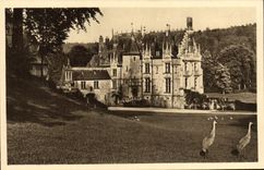 VINTAGE POSTCARD Zoological gardens De Northern Cleres Frontage of the castle and Mexican Cranes Zoo