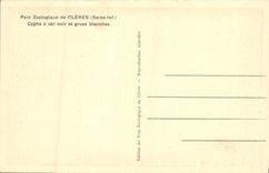 VINTAGE POSTCARD Parc Zoolofique De Cleres Cygne has black collar and white cranes Zoo