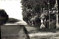 VINTAGE POSTCARD Versailles the green carpet and the large canal