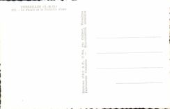 CPA Versailles Le palais et le parterre d'eau