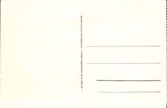 VINTAGE POSTCARD Env de Hohneck Schlucht the Tunnel