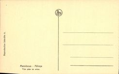 VINTAGE POSTCARD Maredsous Abbey Seen from in the Plane