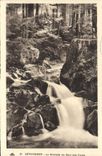 VINTAGE POSTCARD Gerardmer the Cascade of the Jump of the Tanks
