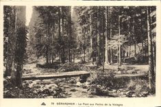 VINTAGE POSTCARD Gerardmer the Bridge with the Pearls of Vologne