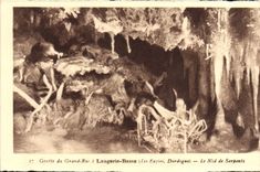 CPA Laugerie Basse Le Nid de Serpents Les Eyzies 