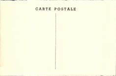 CPA Laugerie Basse Le Nid de Serpents Les Eyzies 