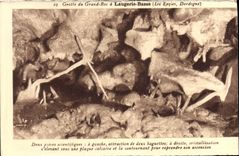 CPA Laugerie Basse Grotte du Grand Roc Cristallisation Les Eyzies Prehistoire