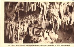 CPA Laugerie Basse Grotte du Grand Roc Salle des pingouins Les Eyzies Prehistoire