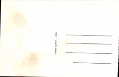 VINTAGE POSTCARD Borough of Sirod Loss of Ain