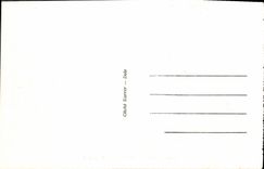 VINTAGE POSTCARD Lake of the Russet-red ones