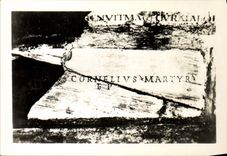 MODERN CARD Catacomb Callisto S Cornetto