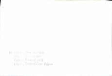 CPM Capri Arco naturele