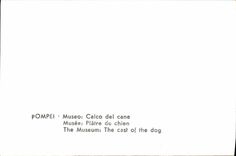 MODERN CARD Pompei Museo Calco LED Duck Dog