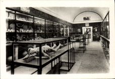 MODERN CARD Pompei It Museo