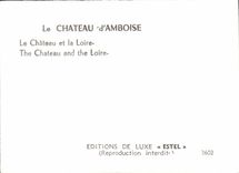 CPM Le Chateau d'Amboise Le Chateau et le Loire
