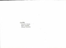 MODERN CARD Capri Grotte will azzurra