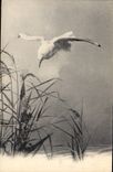 CPA Fantaisie Oiseau