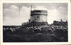 POSTAL Roma Tomban di Cecilia Matella de la VENDIMIA adentro vía ovejas del appia