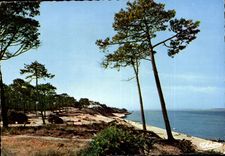 MODERN CARD Basin D' Archachon Abatilles