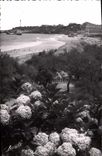 CPM Biarritz Les Hortensias et vue sur le Phare 